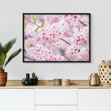 Ingelijste posters Japanese Cherry Blossoms
