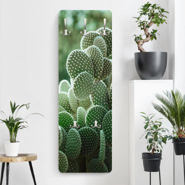 Wandkapstokken houten paneel Cacti