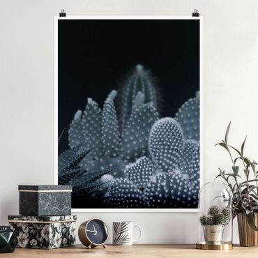 Posters Familiy Of Cacti At Night