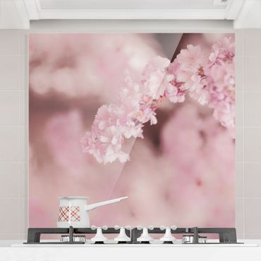Spatscherm keuken Cherry Blossoms In Purple Light