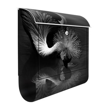 Brievenbussen Crowned Crane Bow Black And White