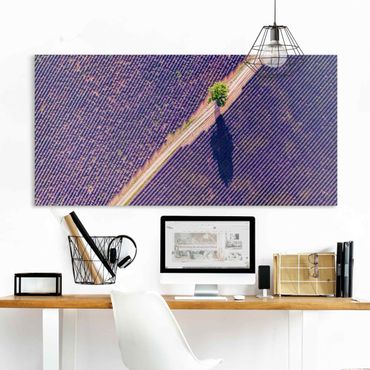 Canvas schilderijen Top View Of Lavender Field
