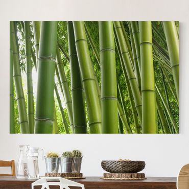 Canvas schilderijen Bamboo Trees