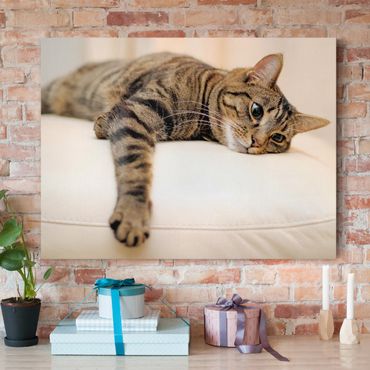 Canvas schilderijen Cat Chill Out