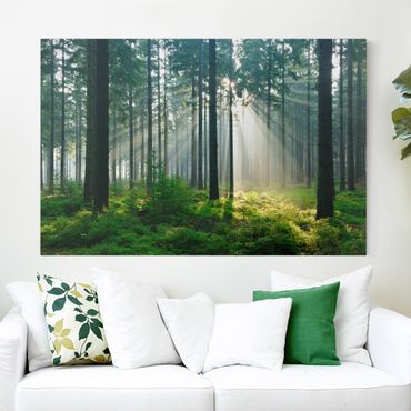 Canvas schilderijen Enlightened Forest