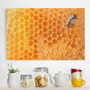 Canvas schilderijen Honey Bee