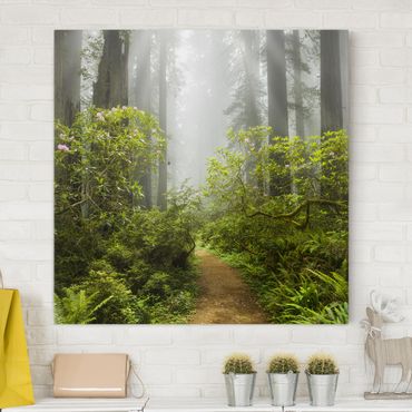 Canvas schilderijen Misty Forest Path