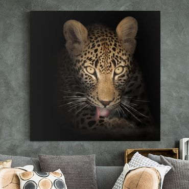Canvas schilderijen Resting Leopard
