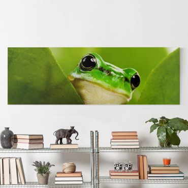 Canvas schilderijen Frog