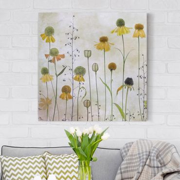 Canvas schilderijen Delicate Helenium Flowers