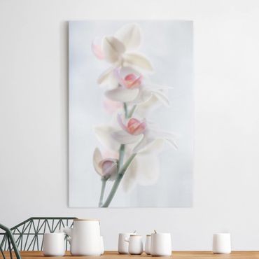 Canvas schilderijen Delicate Orchid