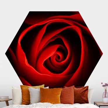 Hexagon Behang Lovely Rose