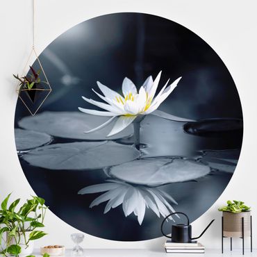 Behangcirkel Lotus Reflection In The Water