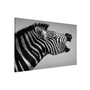 Magneetborden Roaring Zebra ll