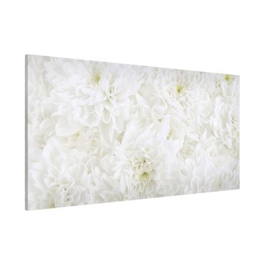 Magneetborden Dahlias Sea Of Flowers White