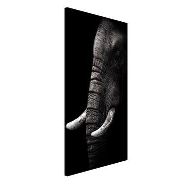 Magneetborden Dark Elephant Portrait