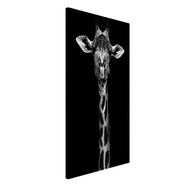Magneetborden Dark Giraffe Portrait