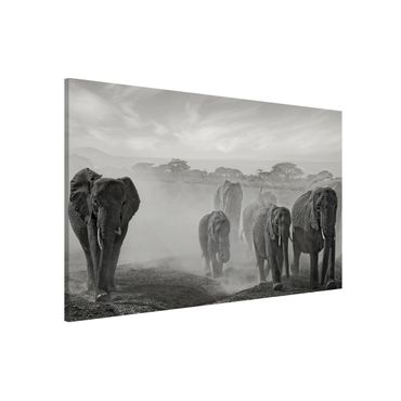 Magneetborden Herd Of Elephants