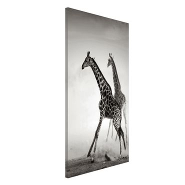 Magneetborden Giraffe Hunt