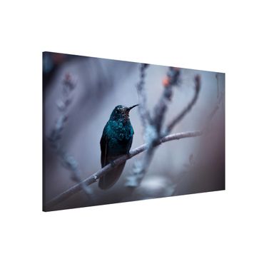 Magneetborden Hummingbird In Winter