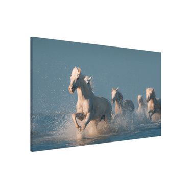 Magneetborden Herd Of White Horses
