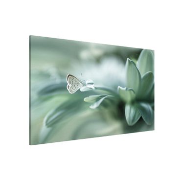 Magneetborden Butterfly And Dew Drops In Pastel Green
