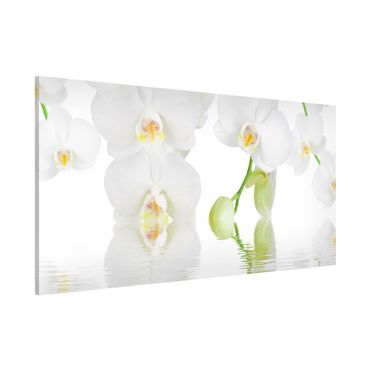 Magneetborden Spa Orchid - White Orchid