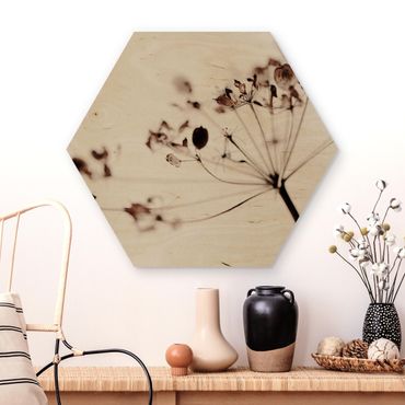 Hexagons houten schilderijen Macro Image Dried Flowers In Shadow