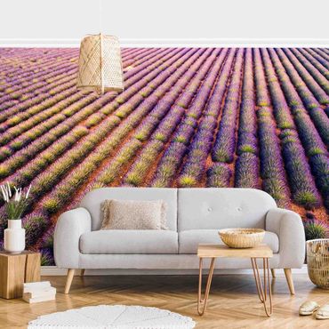Fotobehang Picturesque Lavender Field