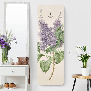 Wandkapstokken houten paneel Maria Geertruyd Barber-Snabilie - Lilac