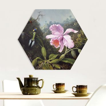 Hexagons Forex schilderijen - Martin Johnson Heade - Still Life With An Orchid And A Pair Of Hummingbirds