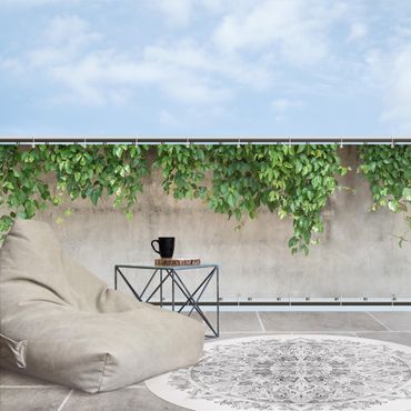 Privacyscherm voor balkon - Wall with Ivy