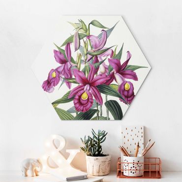 Hexagons Aluminium Dibond schilderijen - Maxim Gauci – Orchid I