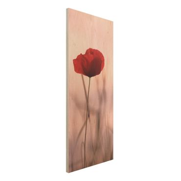 Houten schilderijen Poppy Flower In Twilight