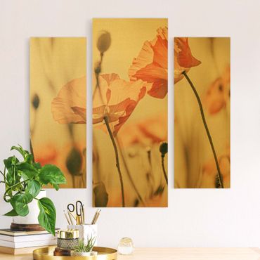 Canvas schilderijen - 3-delig Poppy Flowers In Summer Breeze