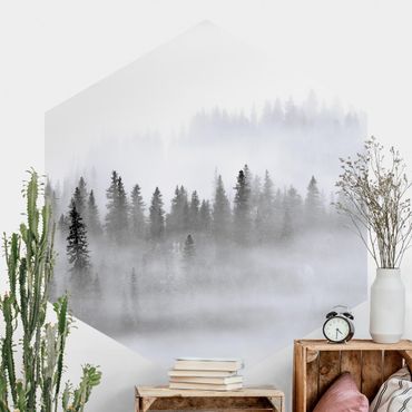 Hexagon Behang Fog In The Fir Forest Black And White