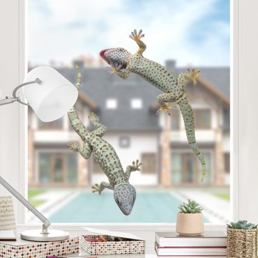 Raamstickers Curious Geckos