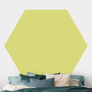 Hexagon Behang Pastel Green