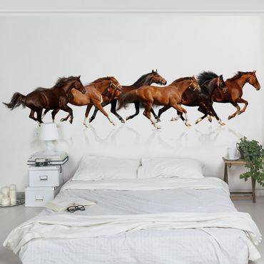 Fotobehang Horse Herd