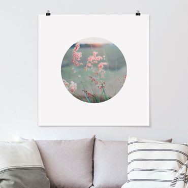 Posters Pink Flowers In A Circle