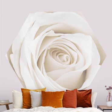 Hexagon Behang Pretty White Rose