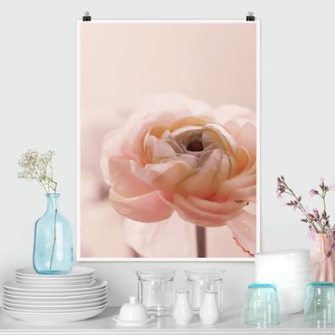 Posters Focus On Light Pink Flower