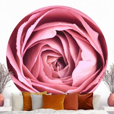 Behangcirkel Pink Rose Blossom