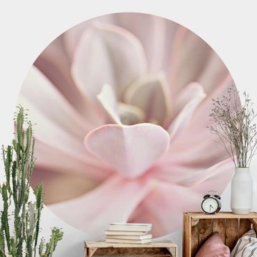 Behangcirkel Light Pink Succulent Flower