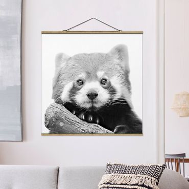 Stoffen schilderij met posterlijst Red Panda In Black And White
