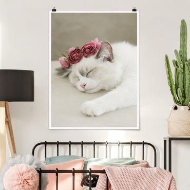 Posters Sleeping Cat with Roses
