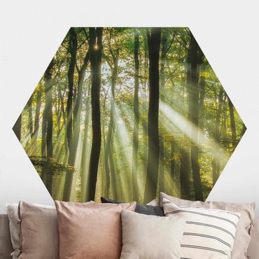 Hexagon Behang Sunny Day In The Forest