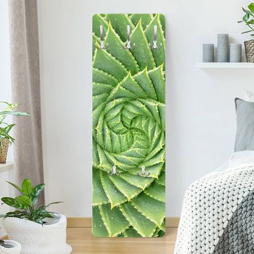 Wandkapstokken houten paneel Spiral Aloe