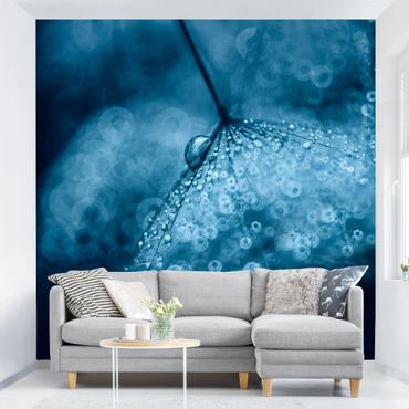 Fotobehang Blue Dandelion In The Rain