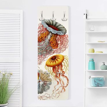Wandkapstokken houten paneel Vintage Board Jellyfish